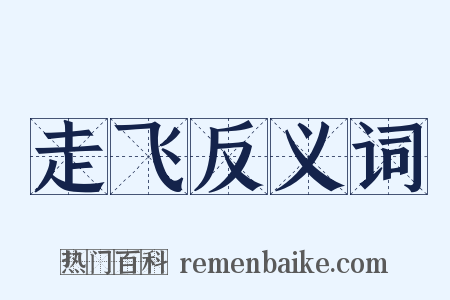 走飞反义词是什么意思的图片